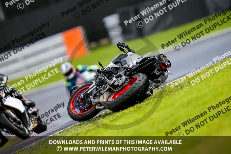 PJ Motorsport 2019;anglesey;brands hatch;cadwell park;croft;donington park;enduro digital images;event digital images;eventdigitalimages;mallory;no limits;oulton park;peter wileman photography;racing digital images;silverstone;snetterton;trackday digital images;trackday photos;vmcc banbury run;welsh 2 day enduro